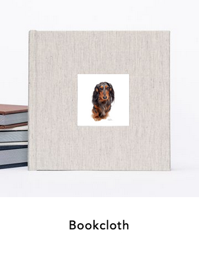 Albums