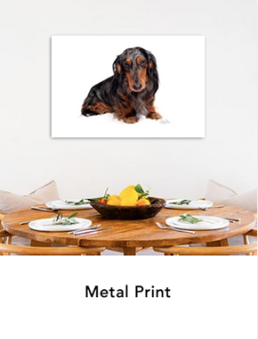 Metal Print