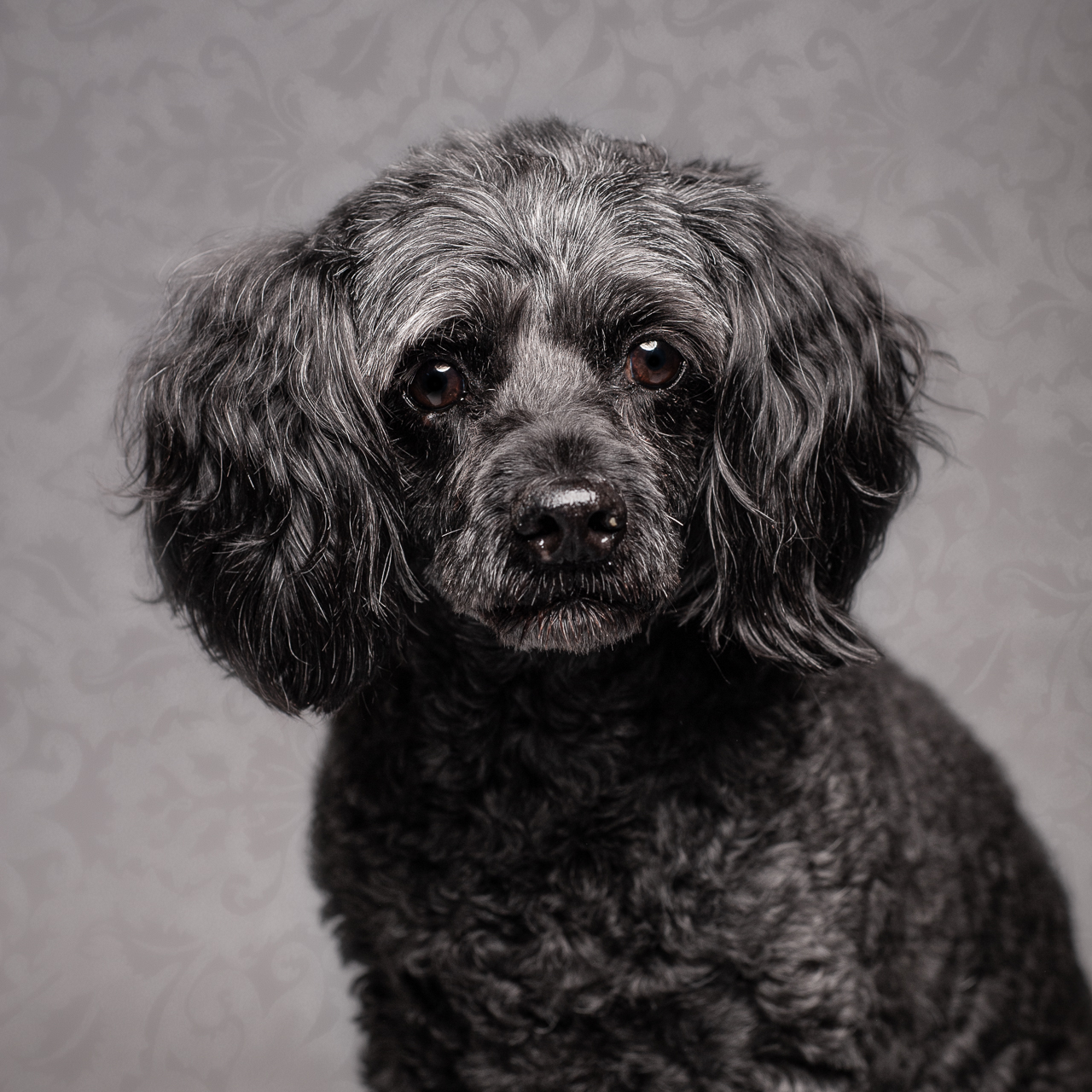 REGGIE-1 Doodle
